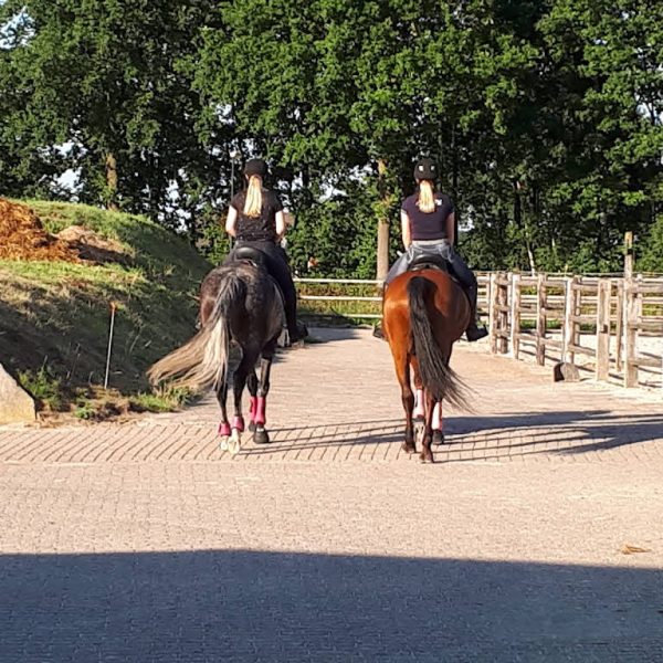 2017-07-17 pensionstal Harbers Hilvarenbeek