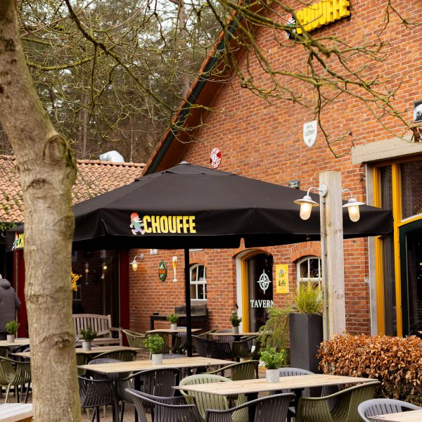 20251211-tomdoms_2258724