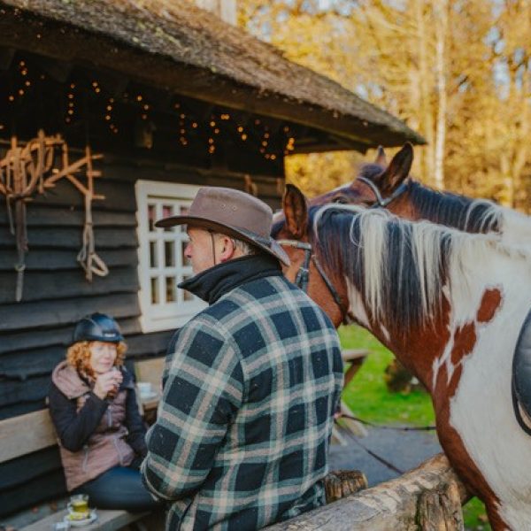 2026 foto met paarden januari 26