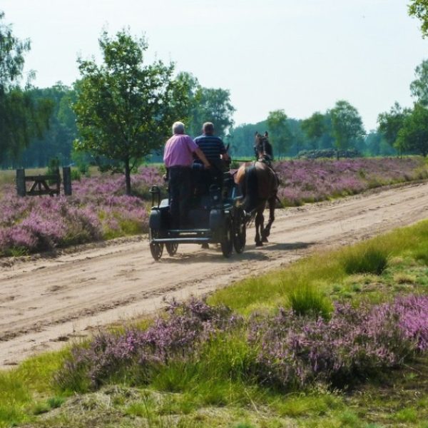 Achelse kluis paardrijden