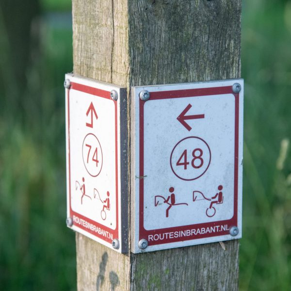 DSC_3290