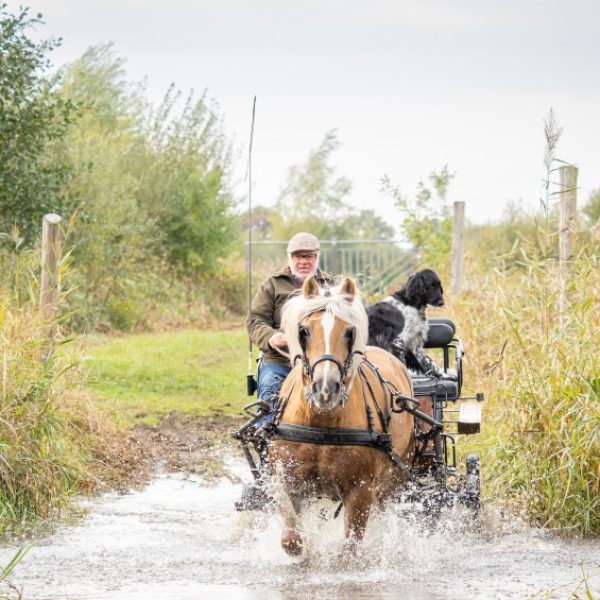 Doorwaadbare plaats Reusel Hilvarenbeek