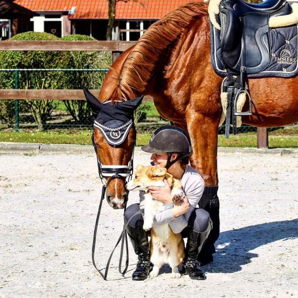 Dressuurstal-hond-Anouk Daris-Postelhoef-Luyksgestel