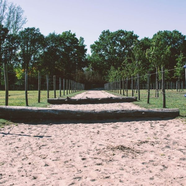 Het Paardenparadijs Valkenswaard Paddockparadise2