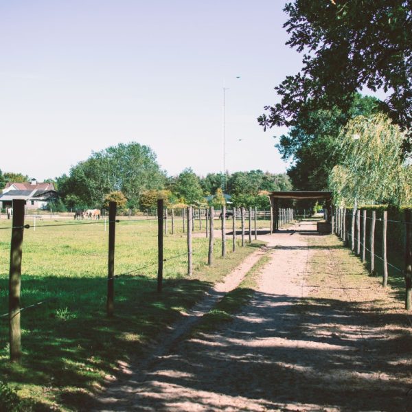 Het Paardenparadijs Valkenswaard Paddockparadise3