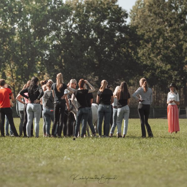 Het Paardenparadijs Valkenswaard therapie en coaching