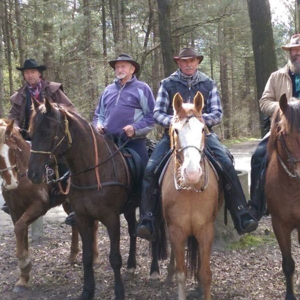 Koperen Teut-Luyksgestel-paardencafe-bossen