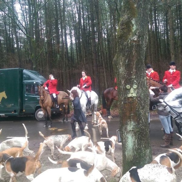 Koperen Teut-Luyksgestel-vossenjacht-bossen