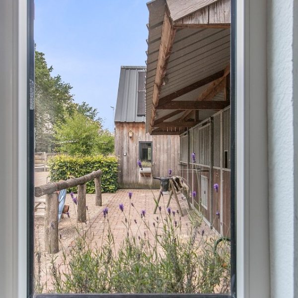 Korenbloem Cottage uitkijk op de stallen