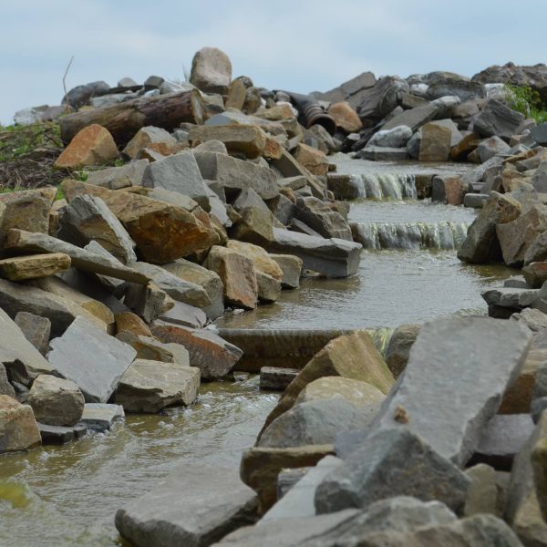 Stal Tilburgs-extreme-mountain-trail-park-Bergeijk