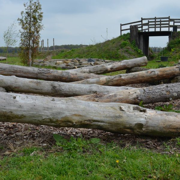 Stal Tilburgs-extreme-mountain-trail-park