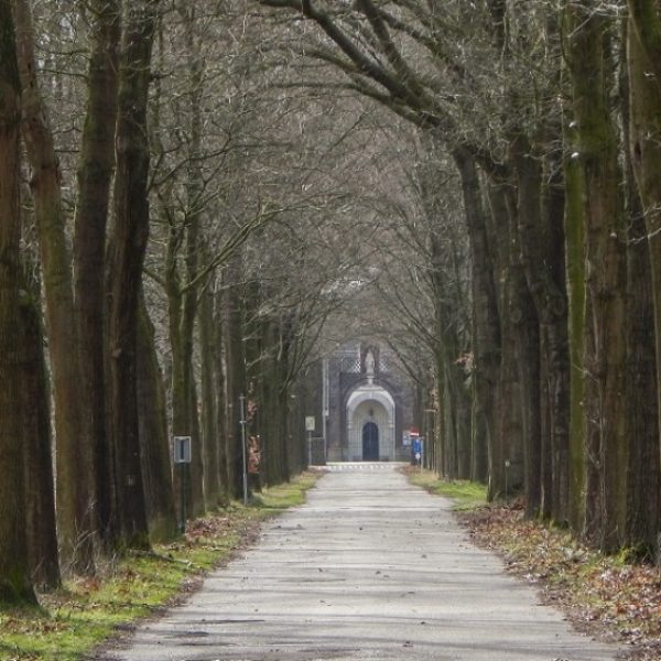 boswachterspad-heeze-leende-klooster-heidewandeling-laan-achelse-kluis