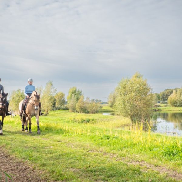 hilvarenbeek+paardrijden+route