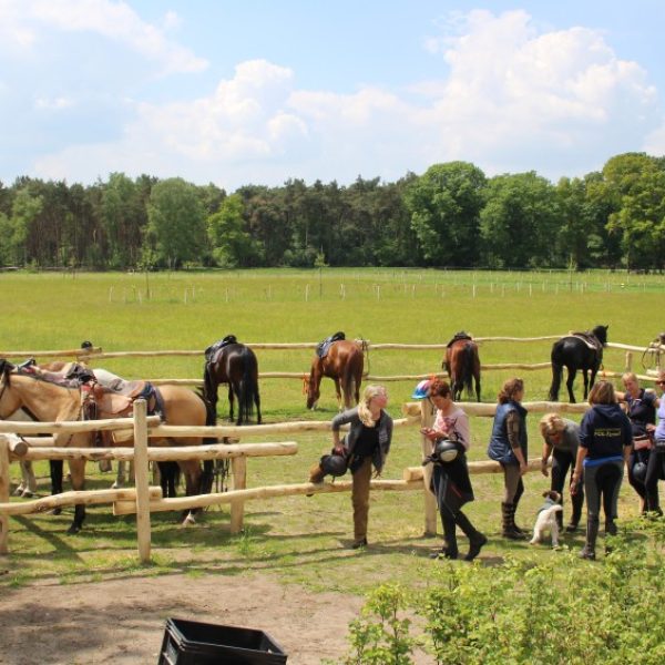 paardenkraal