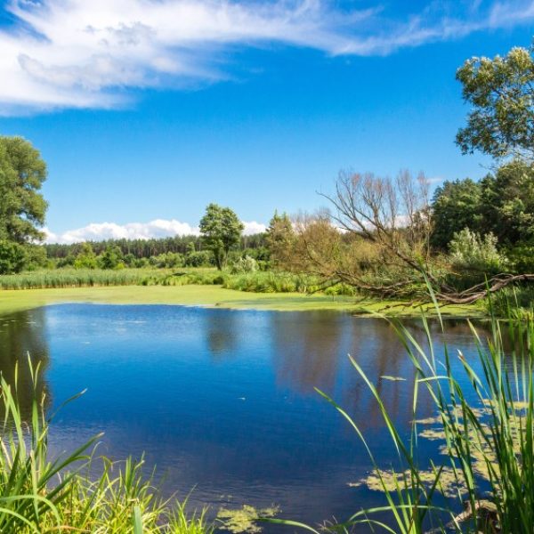 water-natuur-deposit